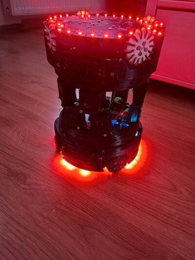 Mushrooms WHAT THE HELLLL.jpg