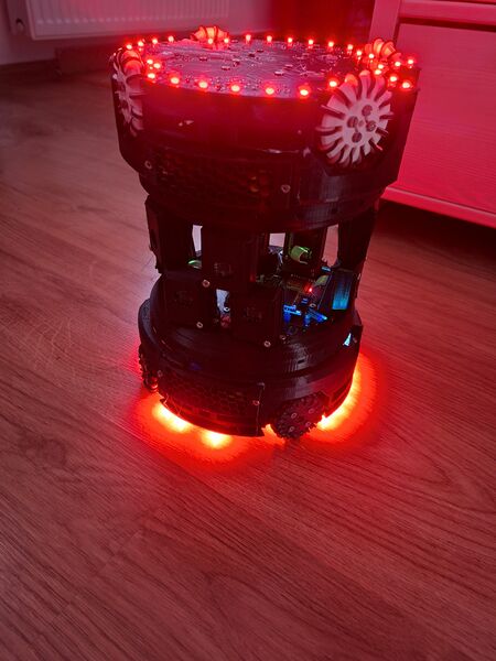 Súbor:Mushrooms WHAT THE HELLLL.jpg